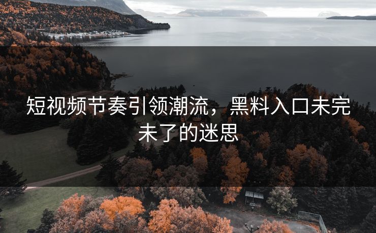 短视频节奏引领潮流，黑料入口未完未了的迷思