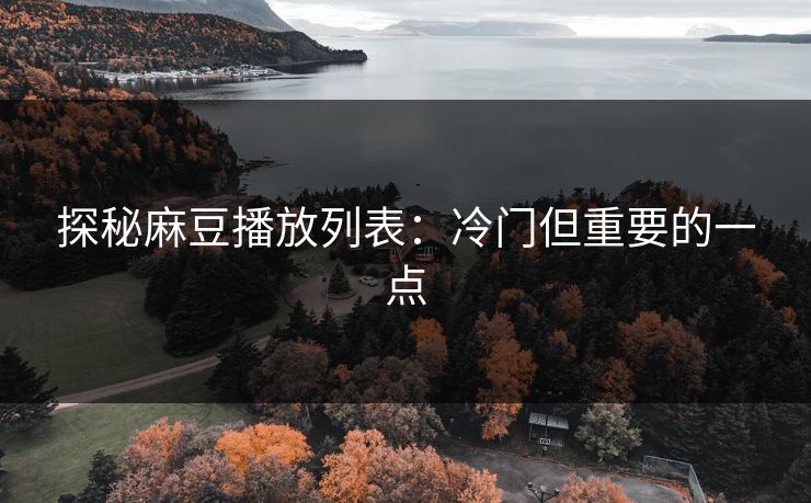 探秘麻豆播放列表：冷门但重要的一点