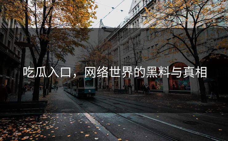 吃瓜入口，网络世界的黑料与真相