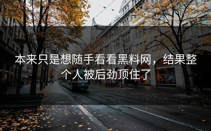 本来只是想随手看看黑料网，结果整个人被后劲顶住了