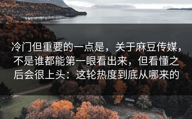 冷门但重要的一点是,关于麻豆传媒,不是谁都能第一眼看出来,但看懂之后会很上头:这轮热度到底从哪来的 冷门但重要的一点是,关于麻豆传媒,不是谁都能第一眼看出来,但看懂之后会很上头:这轮热度到底从哪来的