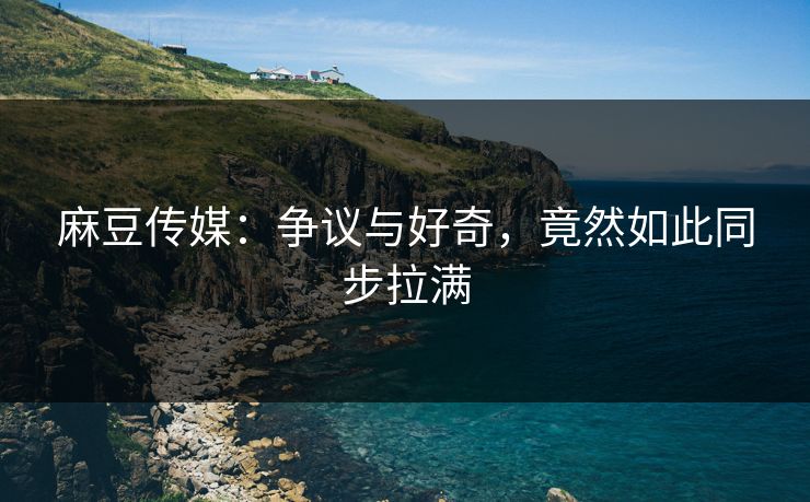 麻豆传媒：争议与好奇，竟然如此同步拉满
