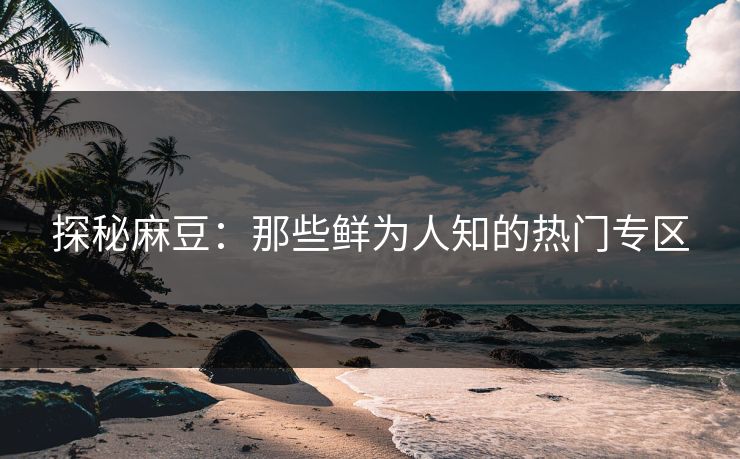 探秘麻豆：那些鲜为人知的热门专区